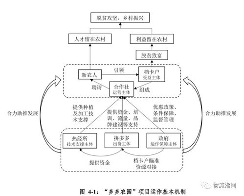 財報透視 忘掉萬億gmv,拼多多的潛力在于這件事