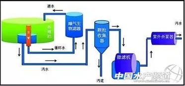 循環(huán)水養(yǎng)殖,哪種更有 錢 途